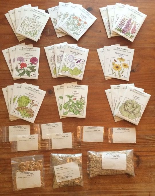 Blog Posts The Seed Hoard